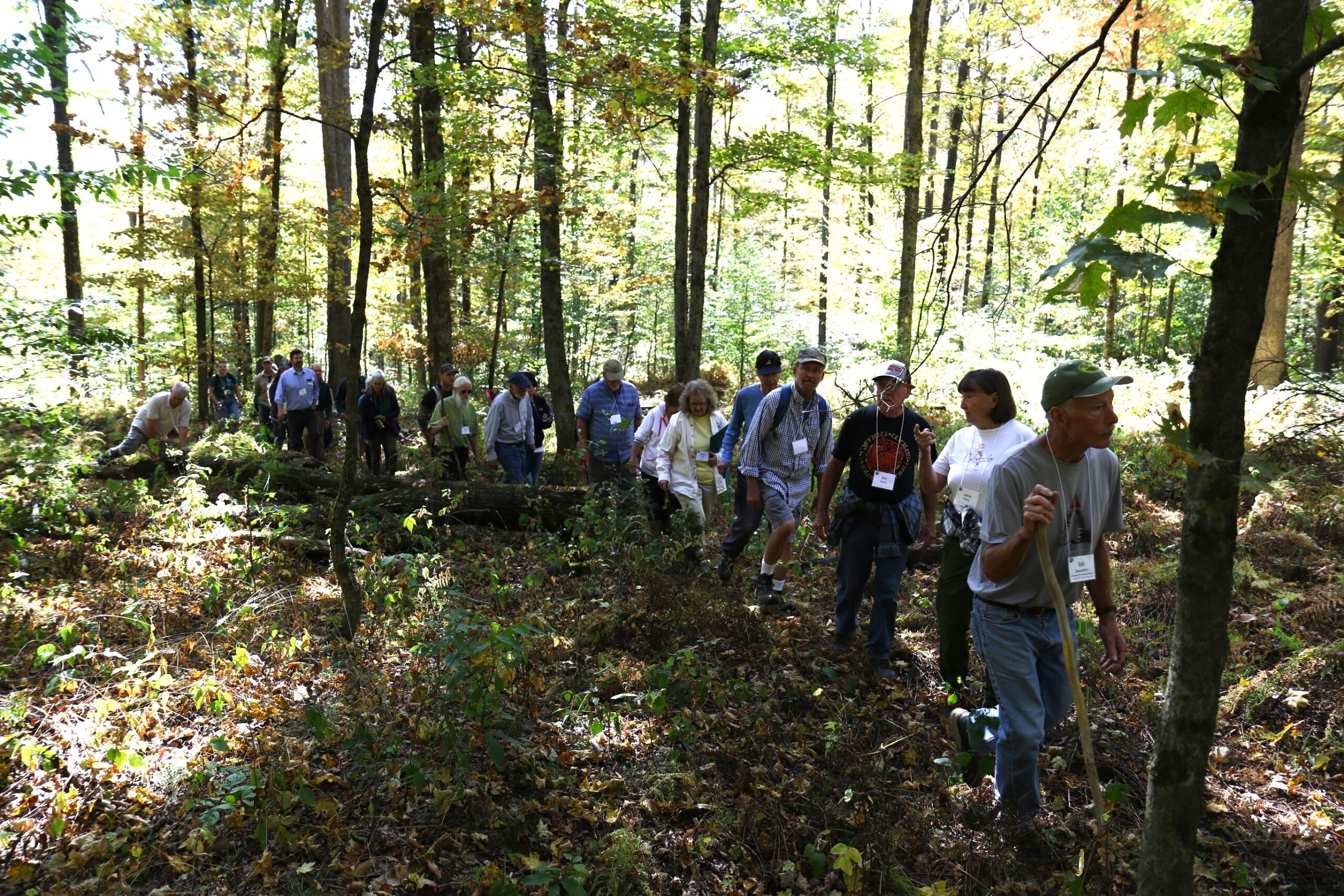 2026 Loving the Land - Forestry Walk Registration