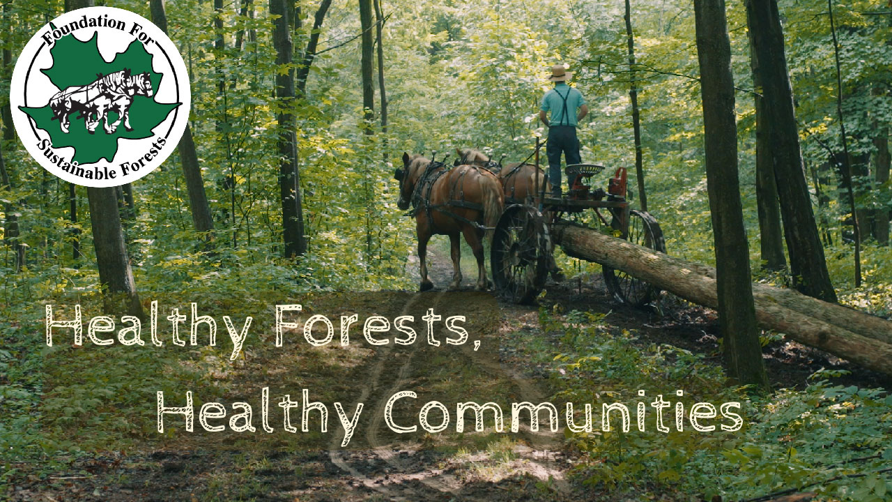 Healthy Forests, Healthy Communities